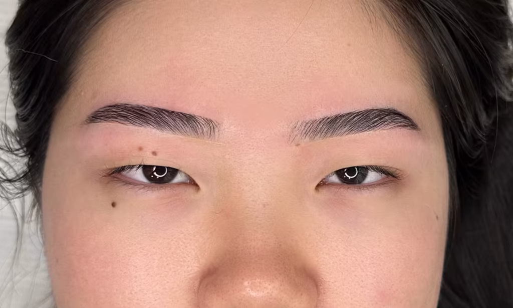 Brows after lamination treatment - fluffy lifted natural results